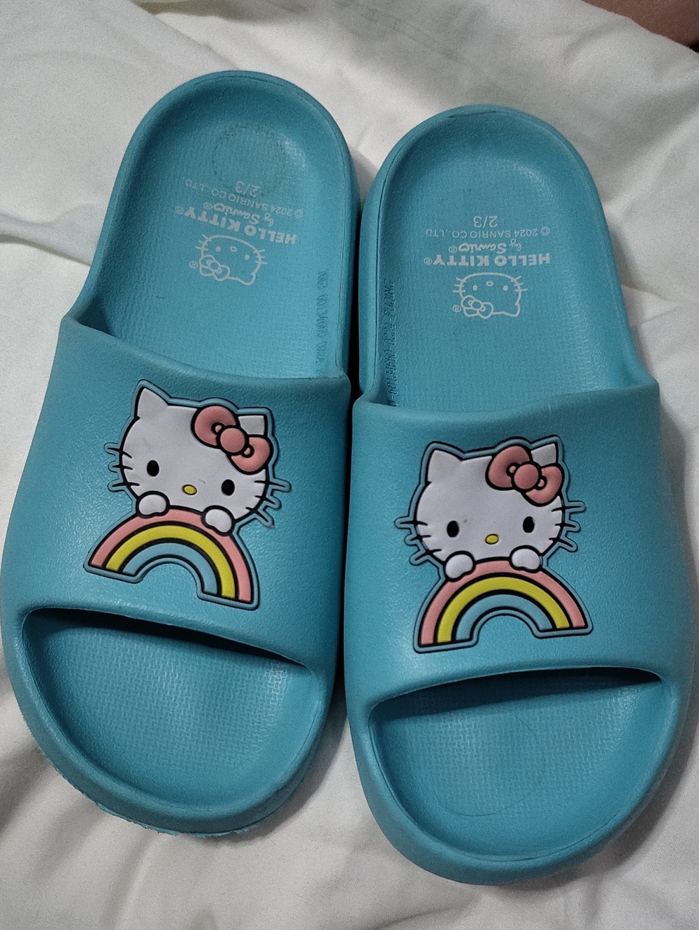 2/3 Hello Kitty Slides $30